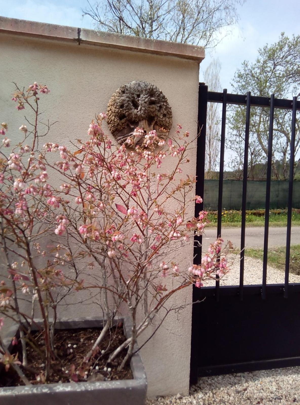 Le Repos Coquelicot Bed & Breakfast Montillot Exterior foto